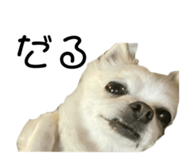 602407973