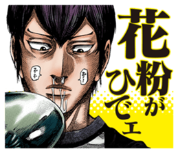 60243429
