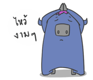 60245440