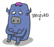 60245443