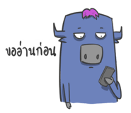 60245450