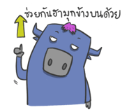 60245451