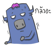 60245455