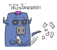 60245457