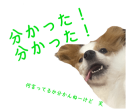 602477331