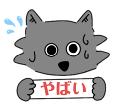 602488479