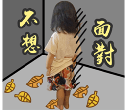60248855