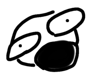 602495628
