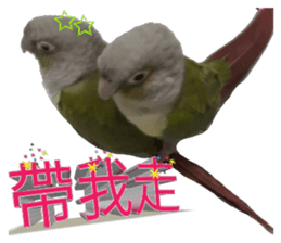 60253357