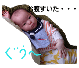 60254495