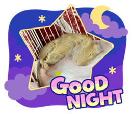 602560224