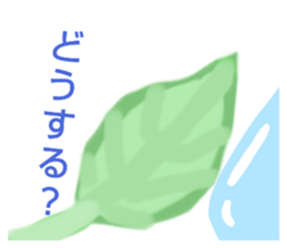 602561908