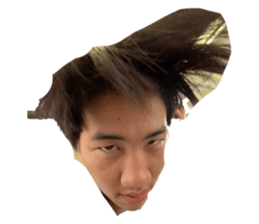 602566665