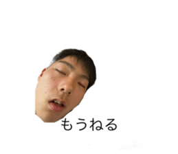 602566667