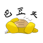 602566809