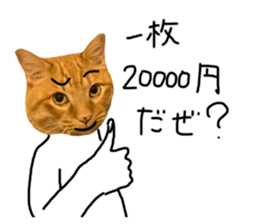 602568066