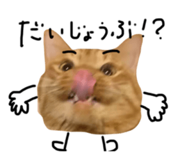 602572838