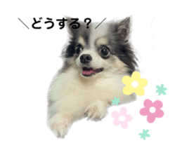 602575713