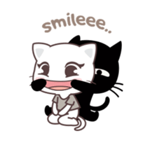 60258416