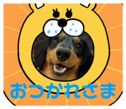 602587589
