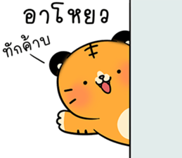 602595254