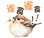602596919