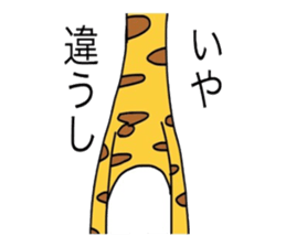 6026036