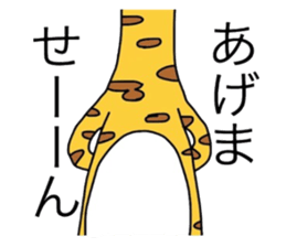 6026037