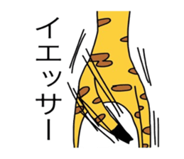 6026043