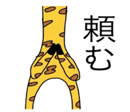 6026051