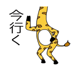 6026055