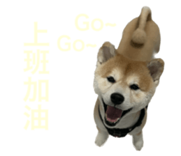 602607657