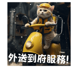 602655316