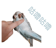 602680792