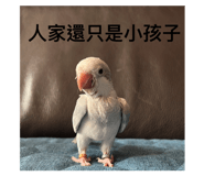 602680794
