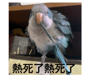 602680801