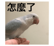 602680802