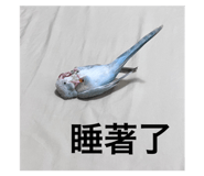 602680803