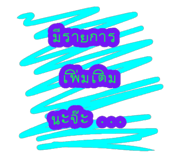 60268637