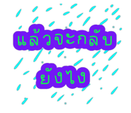 60268658