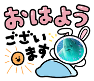602697046