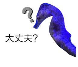 602698568