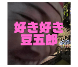 602716335