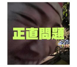 602716339
