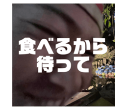 602716344