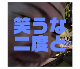 602716351