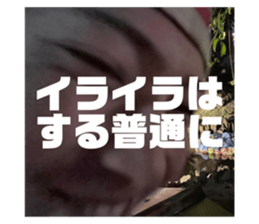 602716352