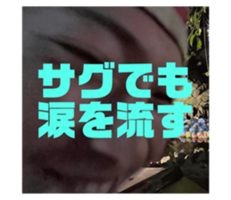 602716355