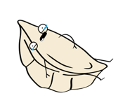 602725614