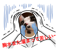 602741763
